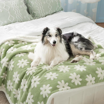 Calming Dog Blanket