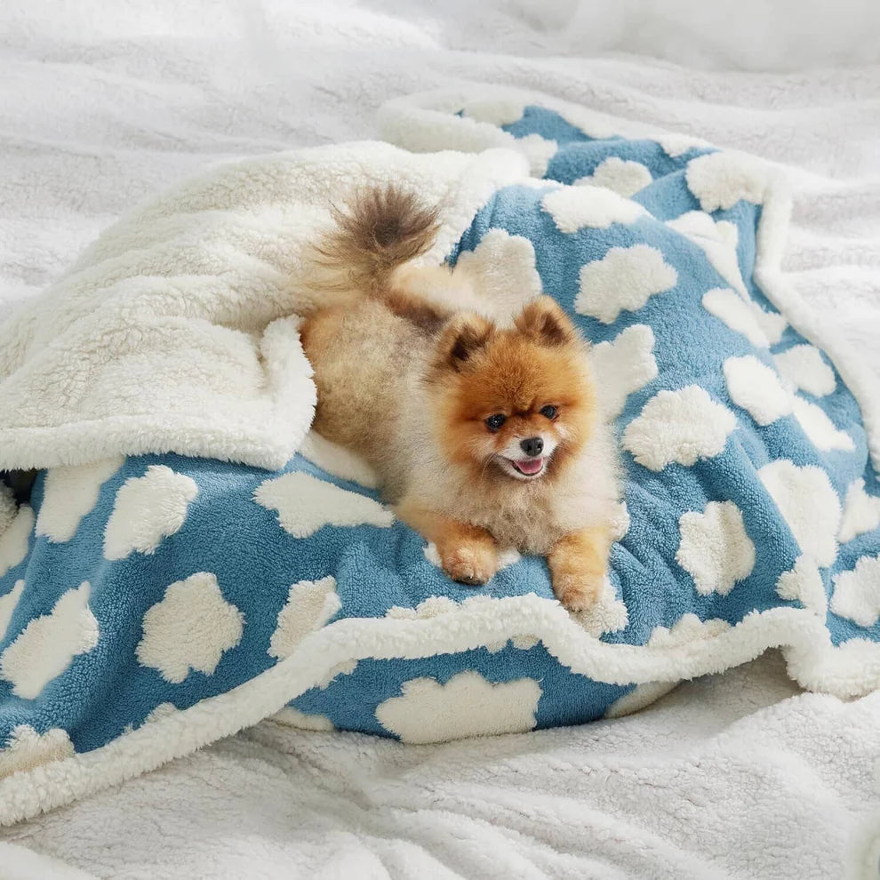 Calming Dog Blanket